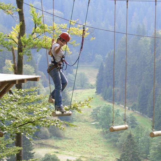 Hochseilgarten im Sauerland