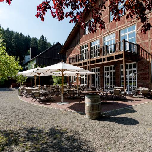 Terrasse im Gutshof Itterbach in Willingen