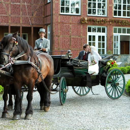 Pferdekutsche mit Brautpaar vor dem Gutshof Itterbach