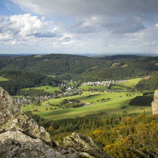 Natur in Willingen