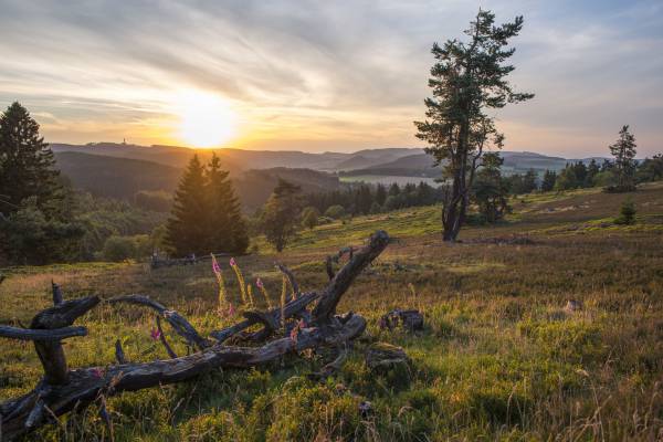 Sonnenuntergang im Sauerland