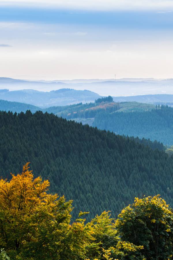 Landschaft und Natur im Sauerland